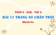 Bài 11 trang 85 Toán 8 Chân trời sáng tạo Tập 2